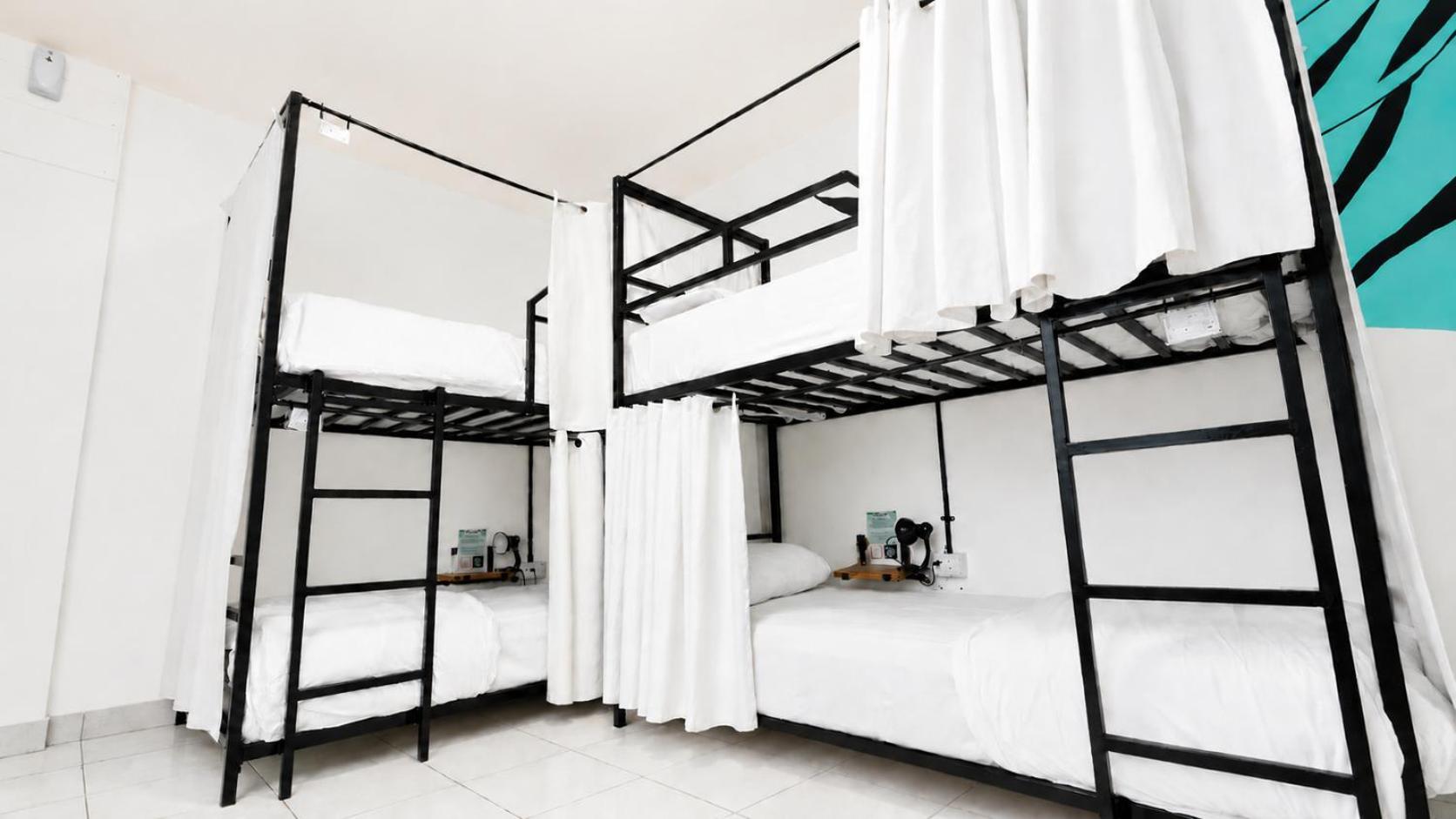 Bed 4-Bed Female Dormitory Room