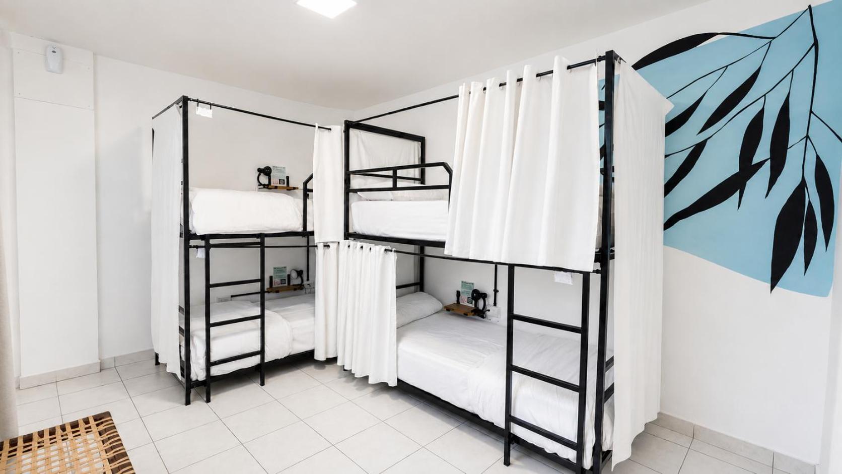 Bed 4-Bed Female Dormitory Room