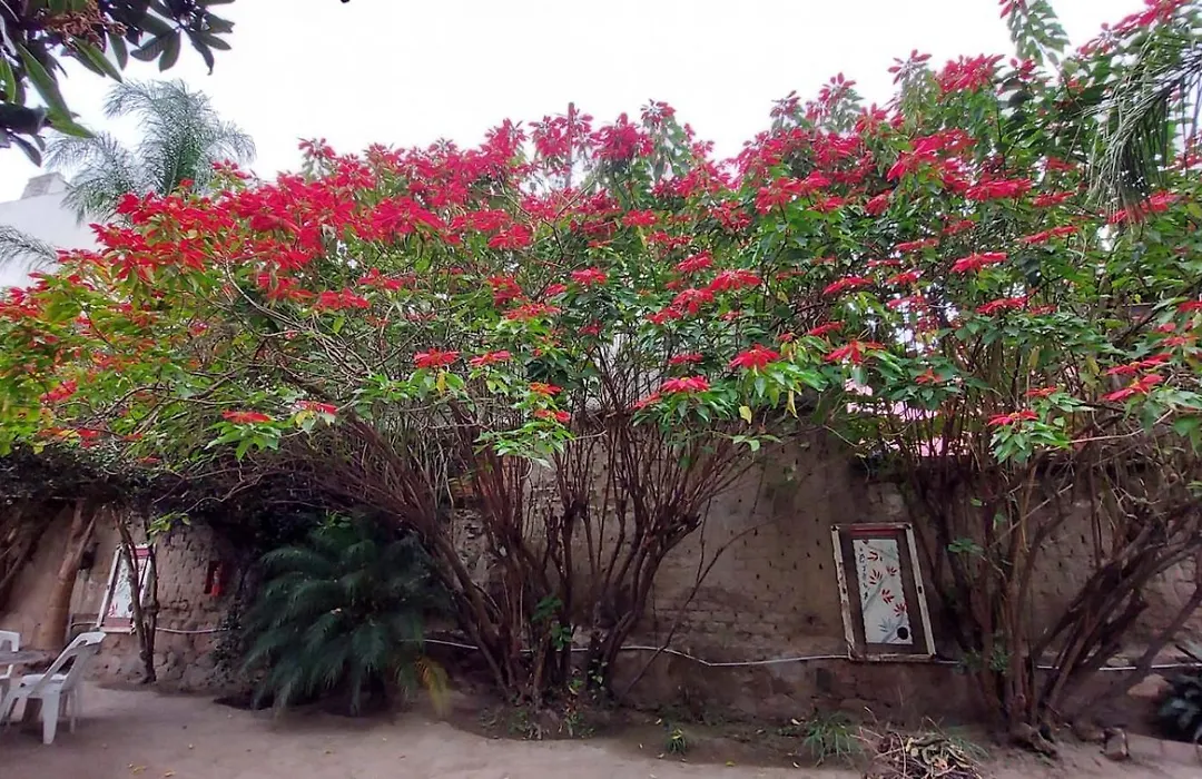 Samsara Hotel Salta-1
